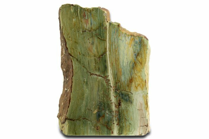 Free-Standing, Gary Green Jasper (Larsonite) Bog Wood - Oregon #334808